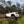 Load image into Gallery viewer, 2022+ Next Gen RANGER 4&quot; Stainless Steel Snorkel Kit

